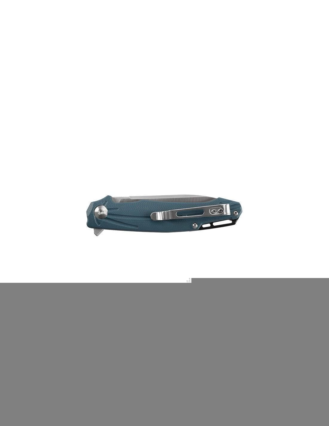 Couteau Pliant Ganzo Firebird FH21-GY Blue – Image 2