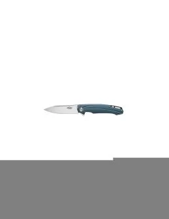 Couteau Pliant Ganzo Firebird FH21-GY Blue