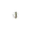 Couteau Suisse Swiza D05, Olive, Impression Cerf